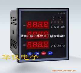 湖南醴陵华仪电子科技 电子美容仪的技术革新与市场前景